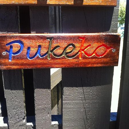 Pukeko On Bay Apartment ตาอูรังกา ภายนอก รูปภาพ